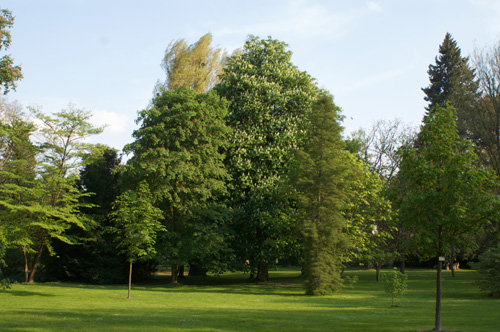 Exotischer Garten