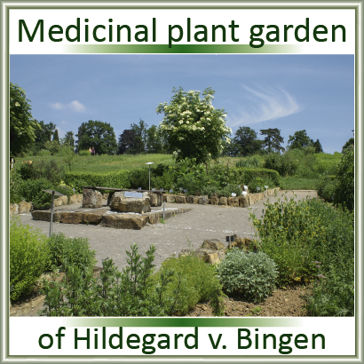 Der Arzneipflanzengarten der Hildegard v. Bingen