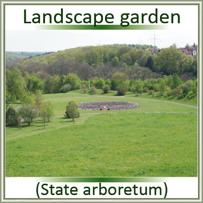 Landschaftsgarten (Landesarboretum)